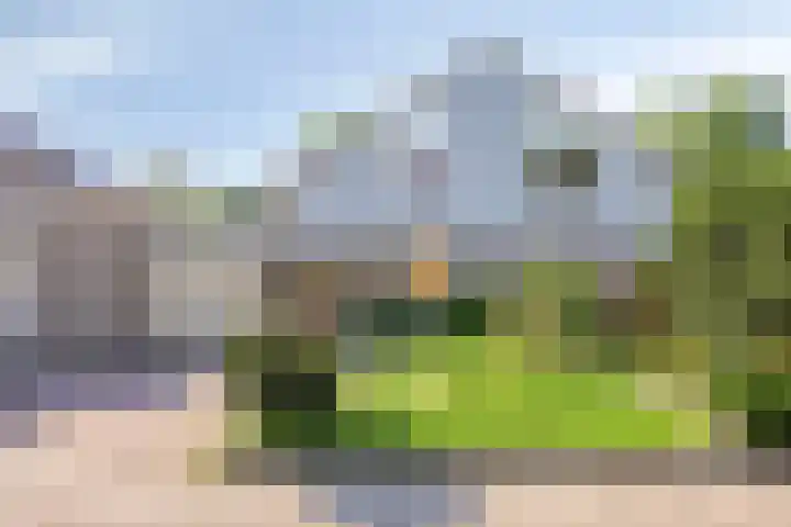 Maasstraat 5 Assen thumbnail 29