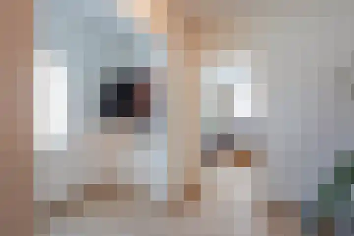 Maasstraat 5 Broekhuizenvorst thumbnail 10
