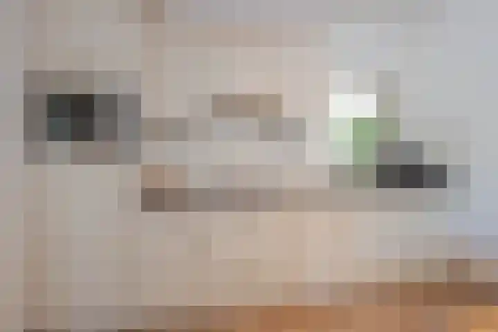 Maasstraat 5 Broekhuizenvorst thumbnail 17