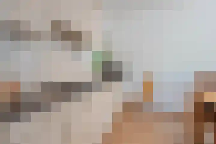 Maasstraat 5 Broekhuizenvorst thumbnail 19