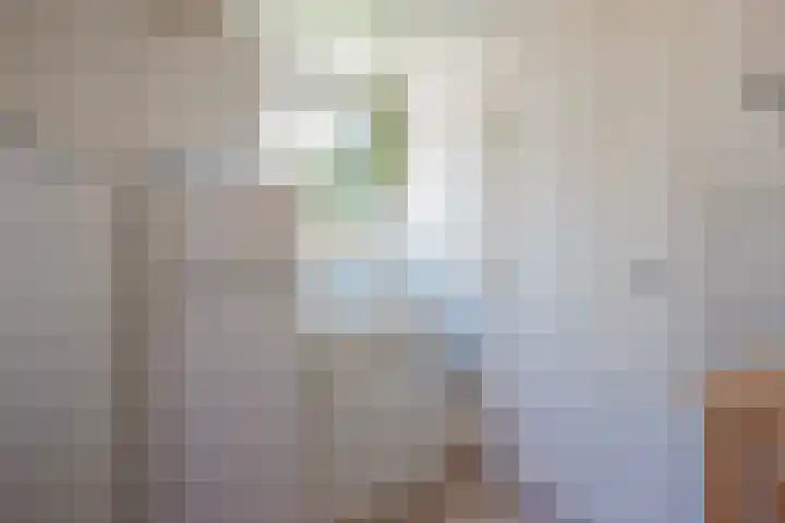 Maasstraat 5 Broekhuizenvorst thumbnail 22