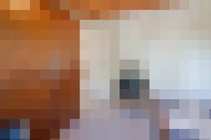 Maasstraat 5 Broekhuizenvorst thumbnail 34