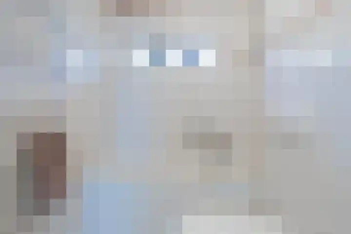 Maasstraat 5 Broekhuizenvorst thumbnail 37