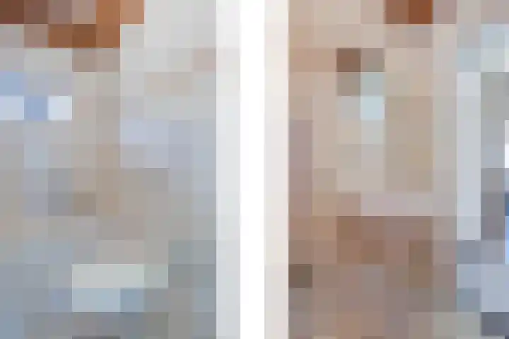 Maasstraat 5 Broekhuizenvorst thumbnail 38