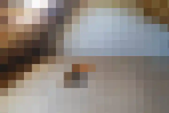 Maasstraat 5 Broekhuizenvorst thumbnail 39