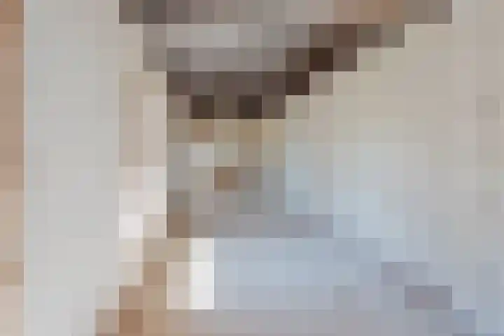 Maasstraat 5 Broekhuizenvorst thumbnail 4