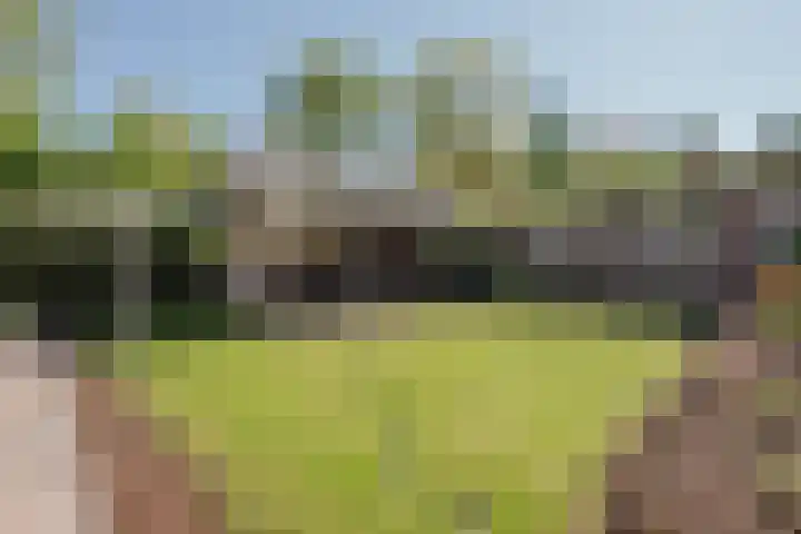 Maasstraat 5 Broekhuizenvorst thumbnail 48