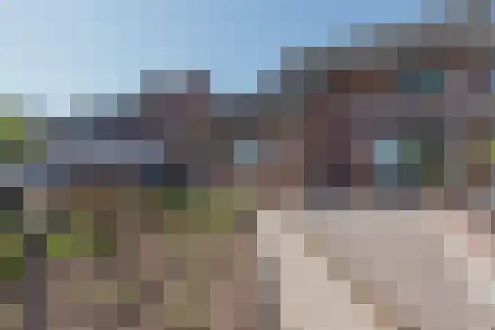 Maasstraat 5 Broekhuizenvorst thumbnail 53