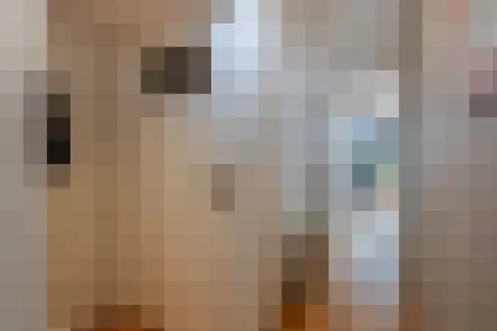 Maasstraat 5 Hardinxveld-Giessendam thumbnail 12