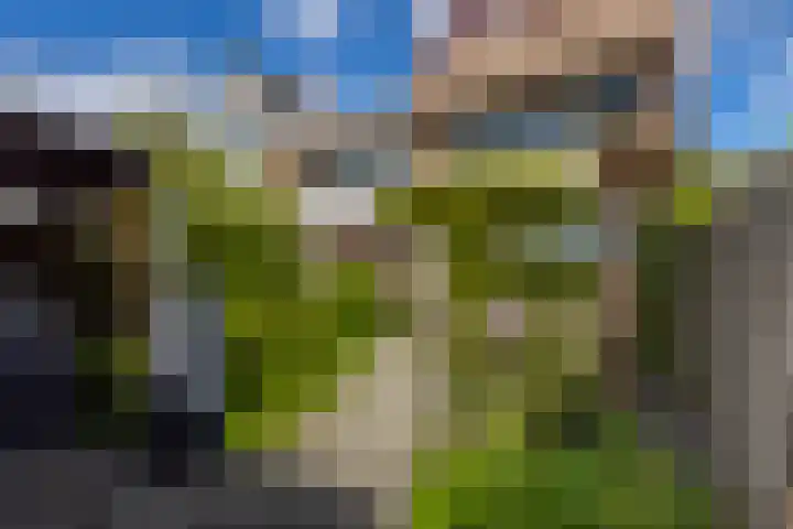 Maasstraat 5 Hardinxveld-Giessendam thumbnail 31