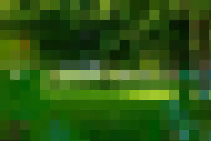 Maasstraat 5 Hardinxveld-Giessendam thumbnail 36