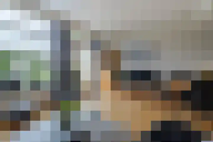 Maasstraat 5 Hardinxveld-Giessendam thumbnail 6