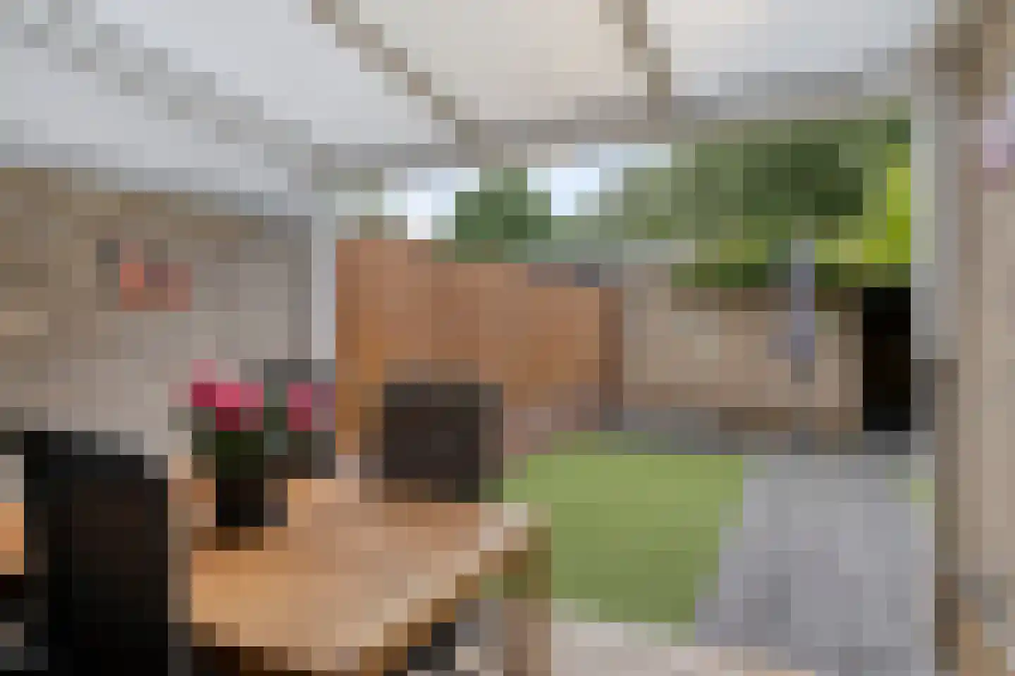 Maasstraat 53 Veghel thumbnail 37