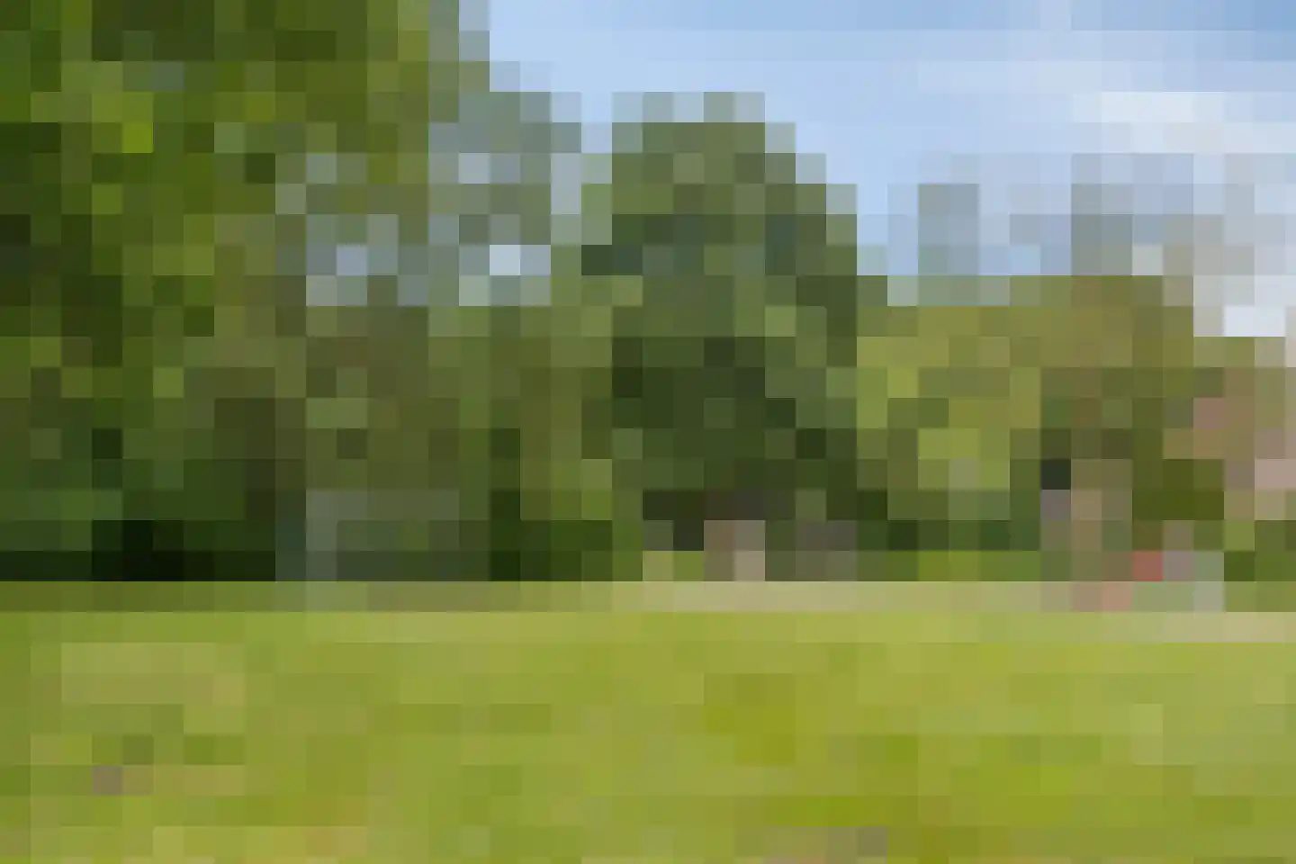 Maasstraat 53 Veghel thumbnail 44