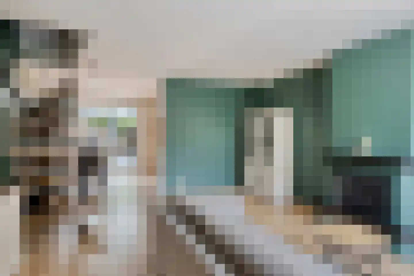 Maasstraat 53 Veghel thumbnail 9