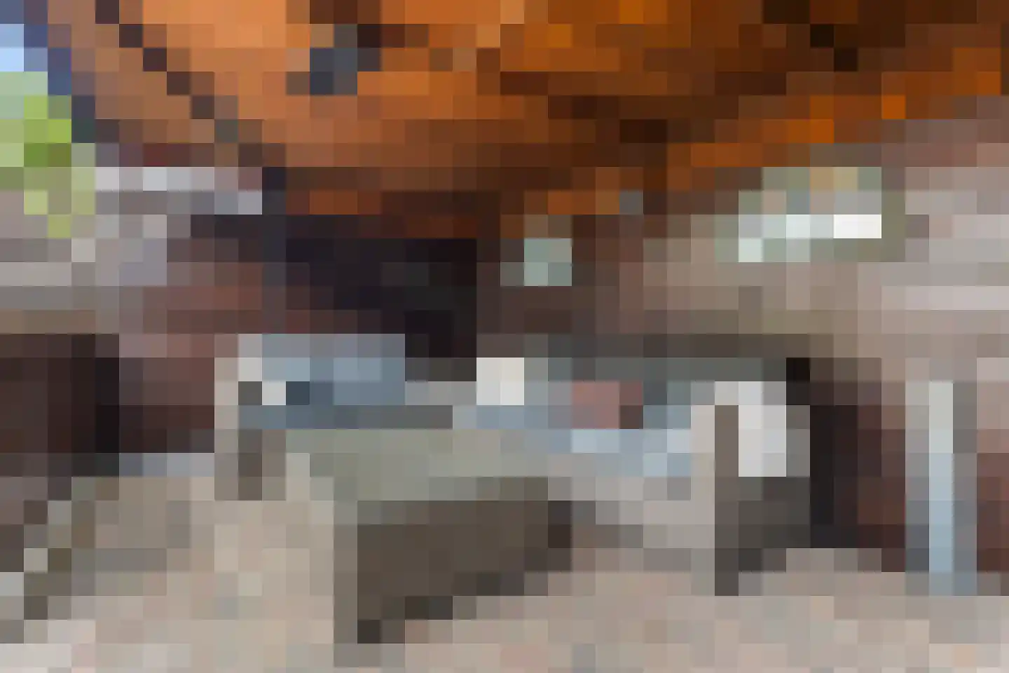 Maasstraat 55 Rozenburg thumbnail 21
