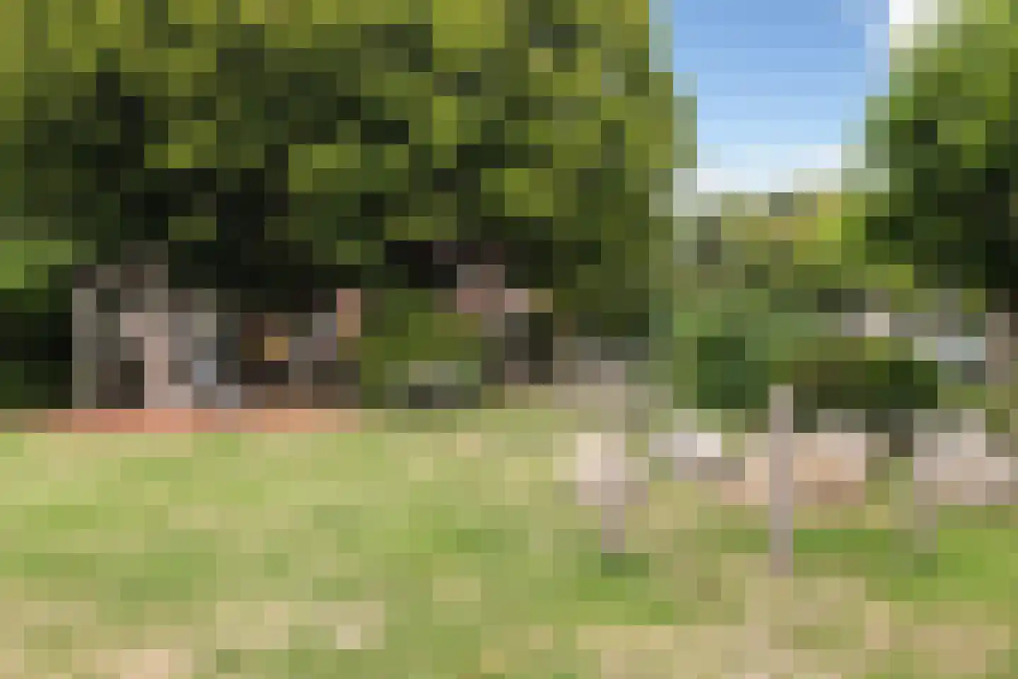Maasstraat 55 Rozenburg thumbnail 48