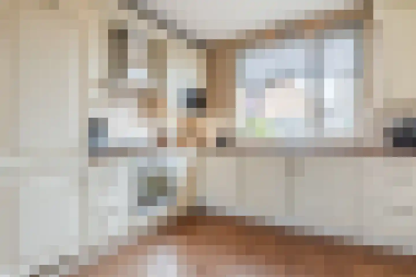 Maasstraat 57 Maasbracht thumbnail 16