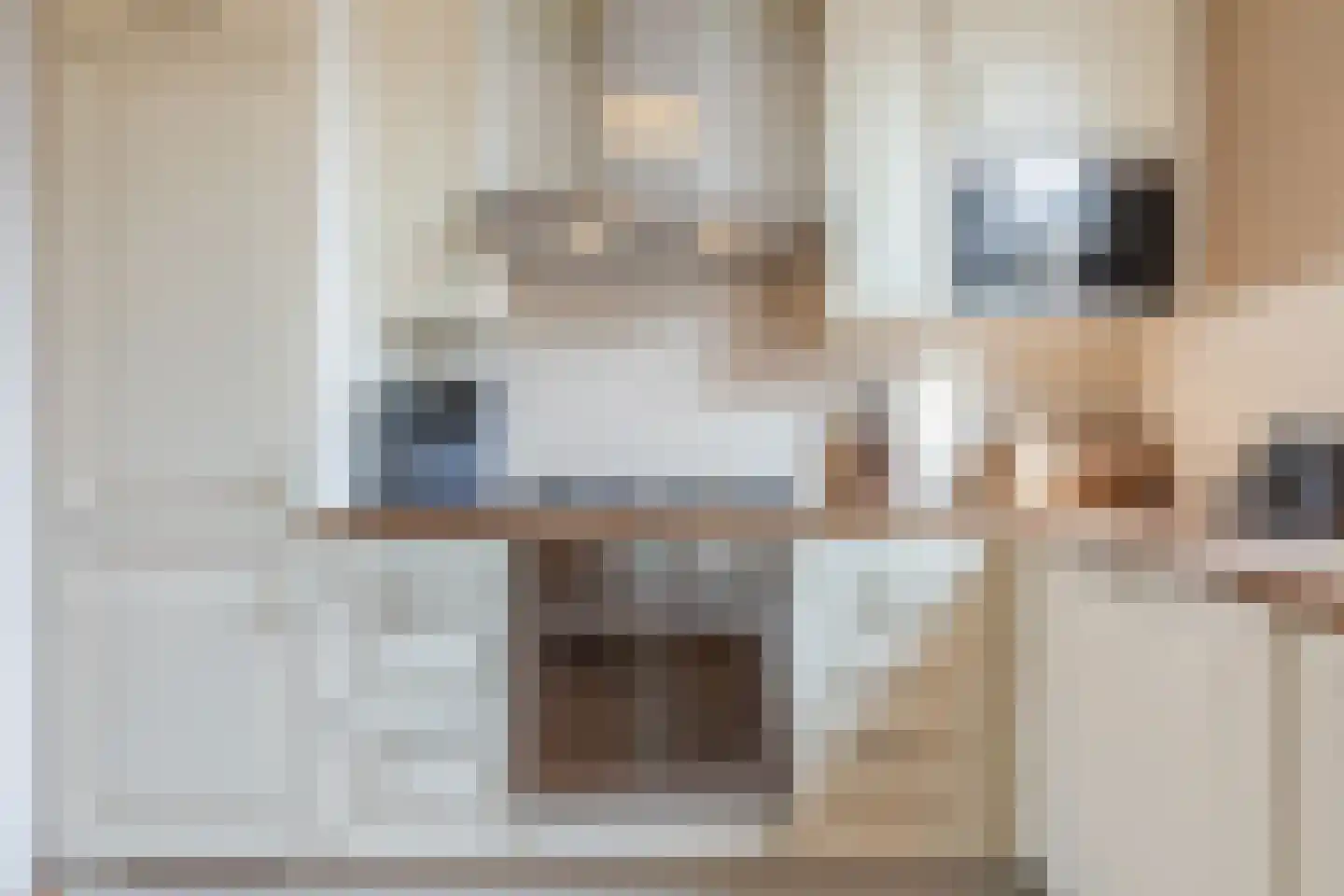 Maasstraat 57 Maasbracht thumbnail 17