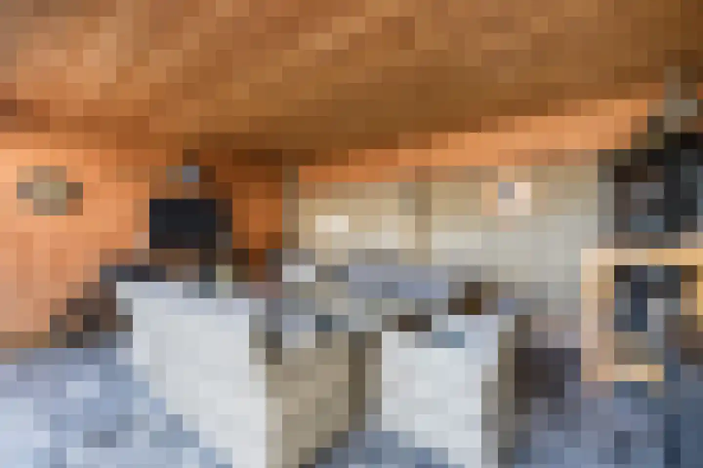 Maasstraat 57 Maasbracht thumbnail 21