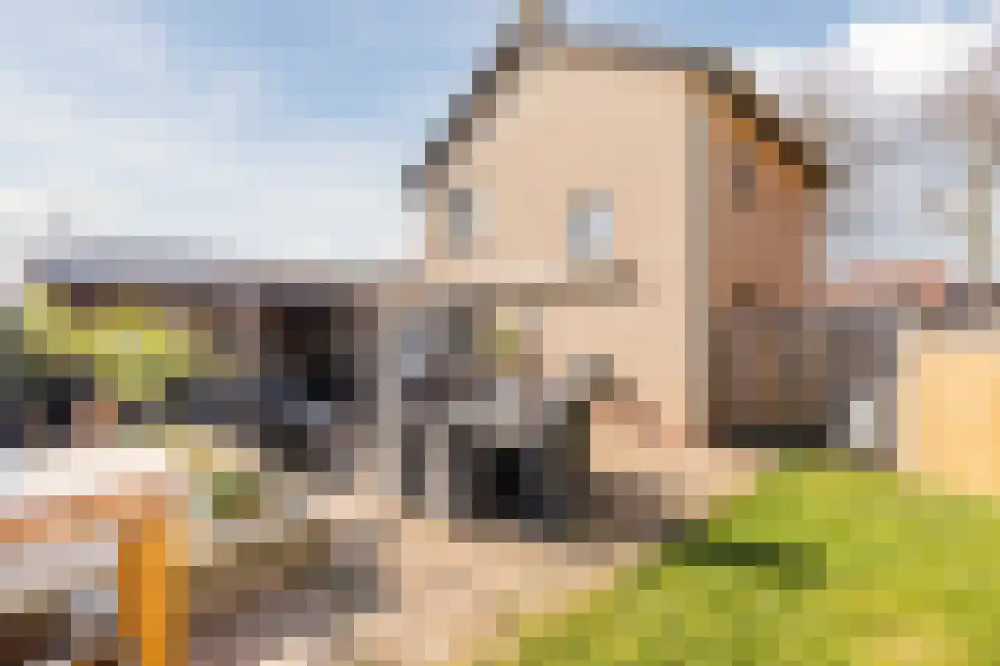 Maasstraat 57 Maasbracht thumbnail 24