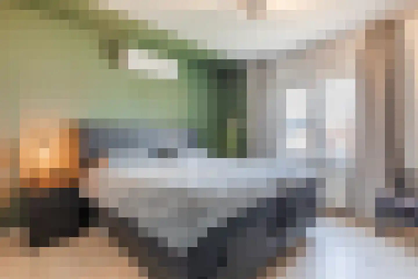 Maasstraat 57 Maasbracht thumbnail 27