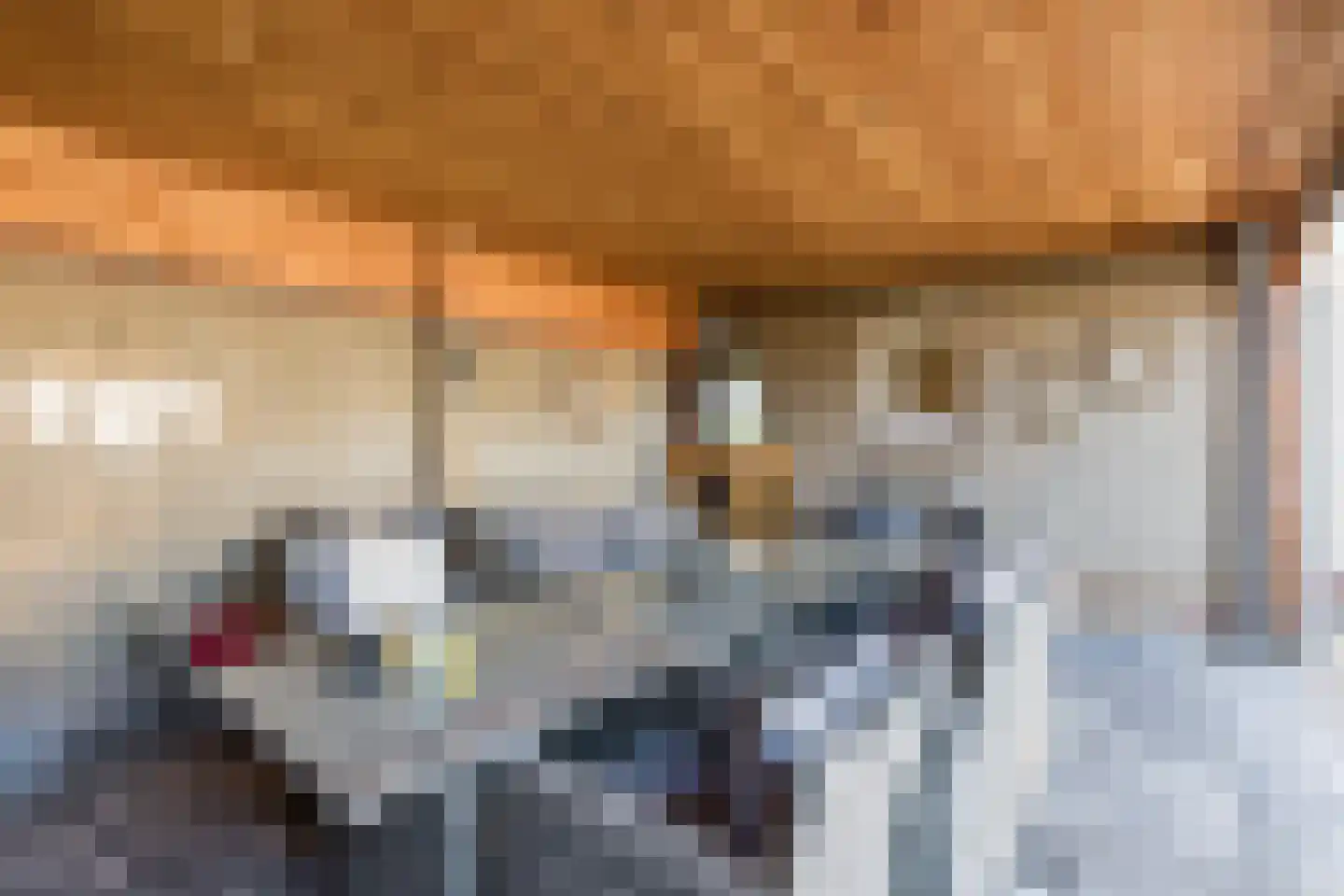 Maasstraat 57 Maasbracht thumbnail 4