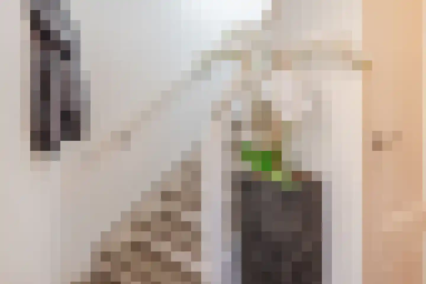 Maasstraat 57 Maasbracht thumbnail 9