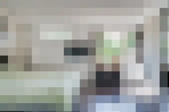 Maasstraat 57 Veghel thumbnail 18