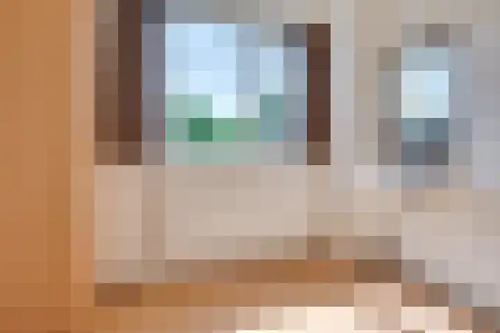 Maasstraat 57 Veghel thumbnail 25