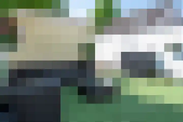 Maasstraat 57 Veghel thumbnail 27