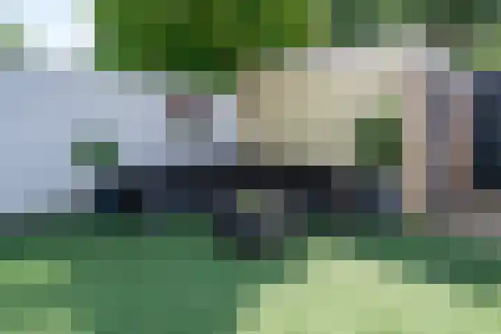 Maasstraat 57 Veghel thumbnail 28
