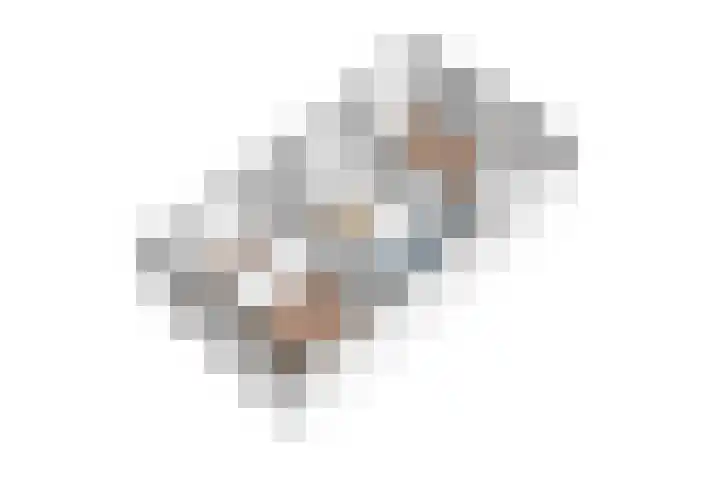 Maasstraat 57 Veghel thumbnail 37