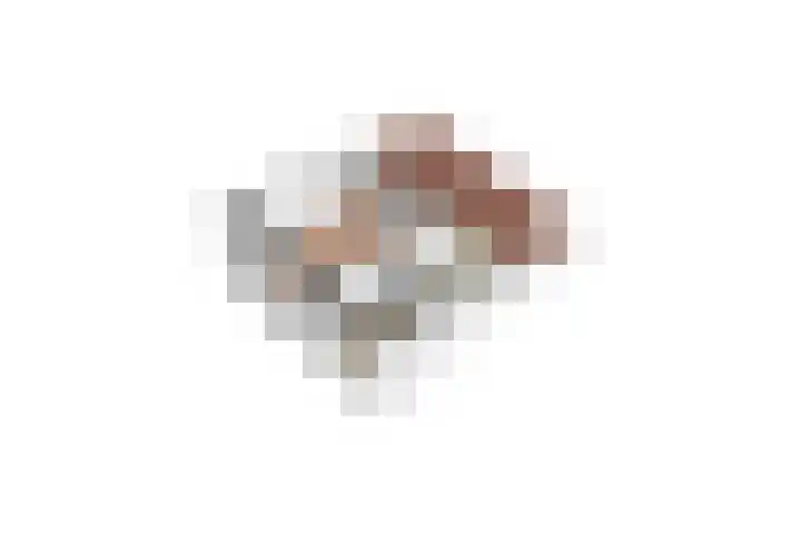 Maasstraat 57 Veghel thumbnail 39