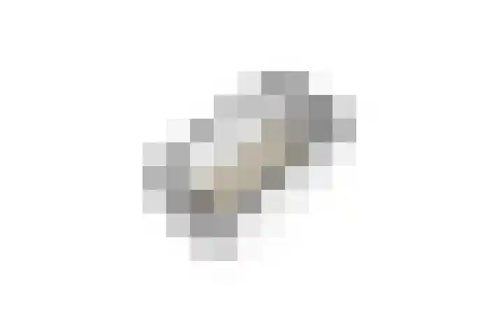 Maasstraat 57 Veghel thumbnail 43
