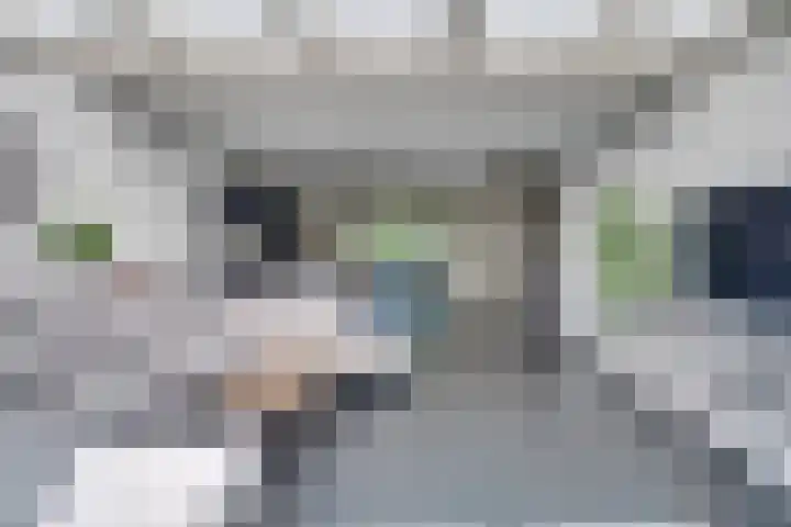 Maasstraat 57 Veghel thumbnail 8