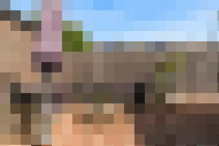 Maasstraat 6 Emmeloord thumbnail 36