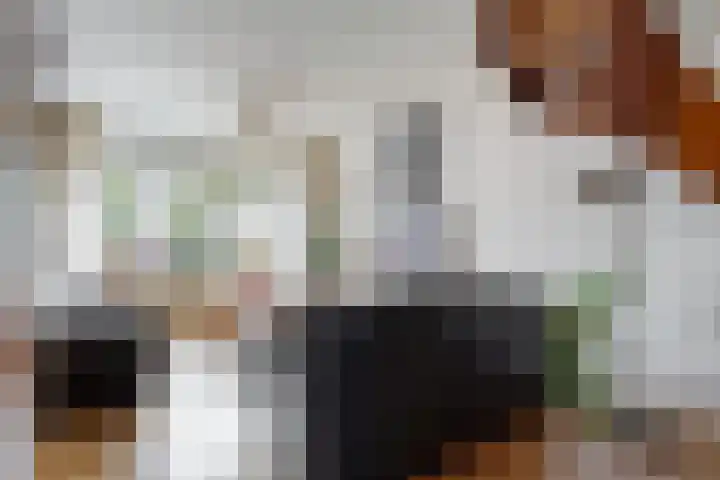 Maasstraat 6 Emmeloord thumbnail 6
