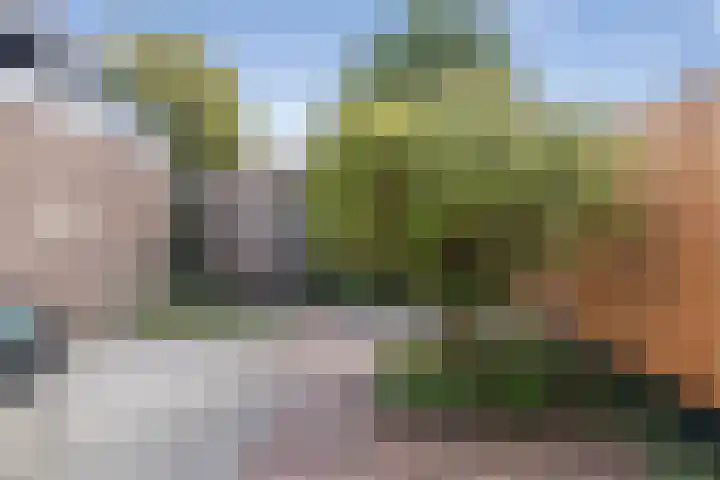 Maasstraat 6 Haarlem thumbnail 12