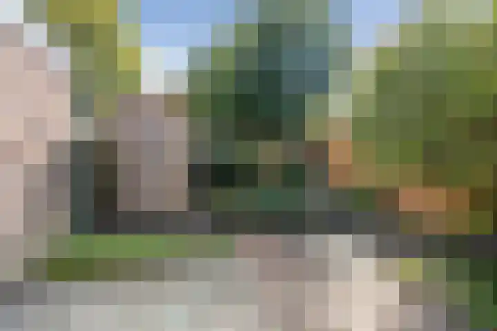Maasstraat 6 Haarlem thumbnail 13