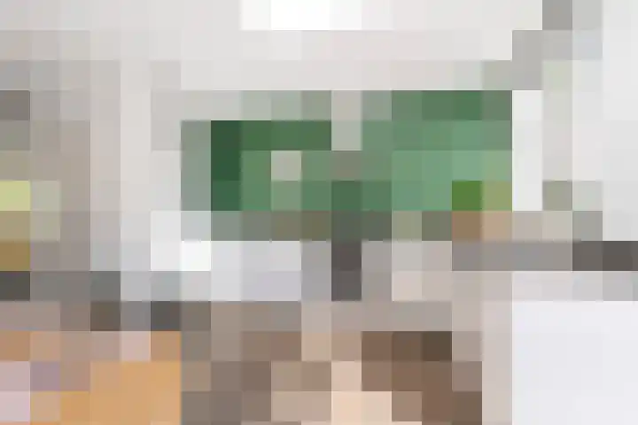 Maasstraat 6 Haarlem thumbnail 18
