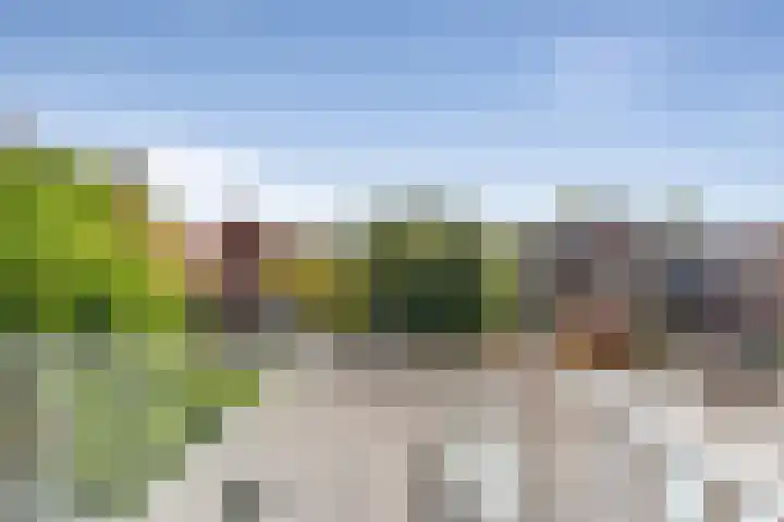 Maasstraat 6 Haarlem thumbnail 36