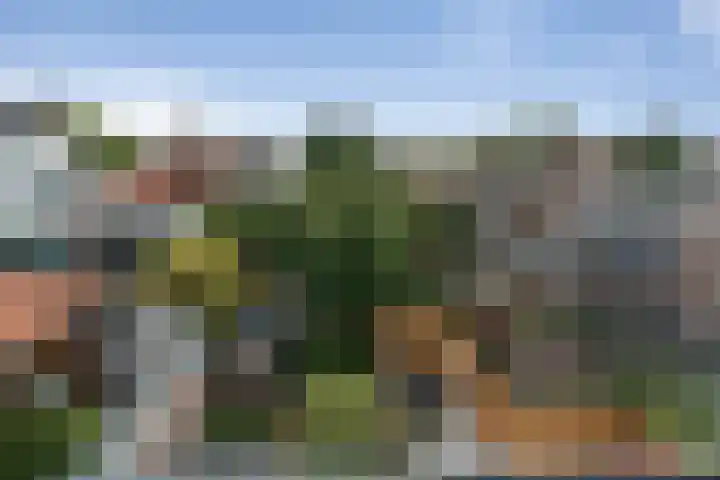 Maasstraat 6 Haarlem thumbnail 41