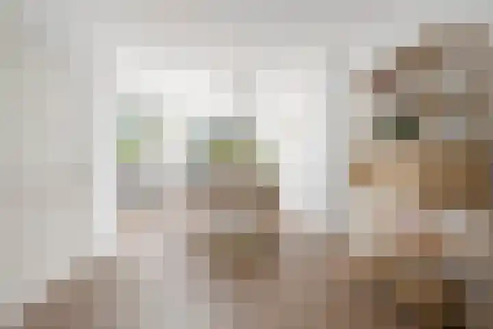 Maasstraat 6 Haarlem thumbnail 5