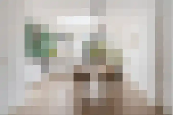Maasstraat 6 Haarlem thumbnail 6