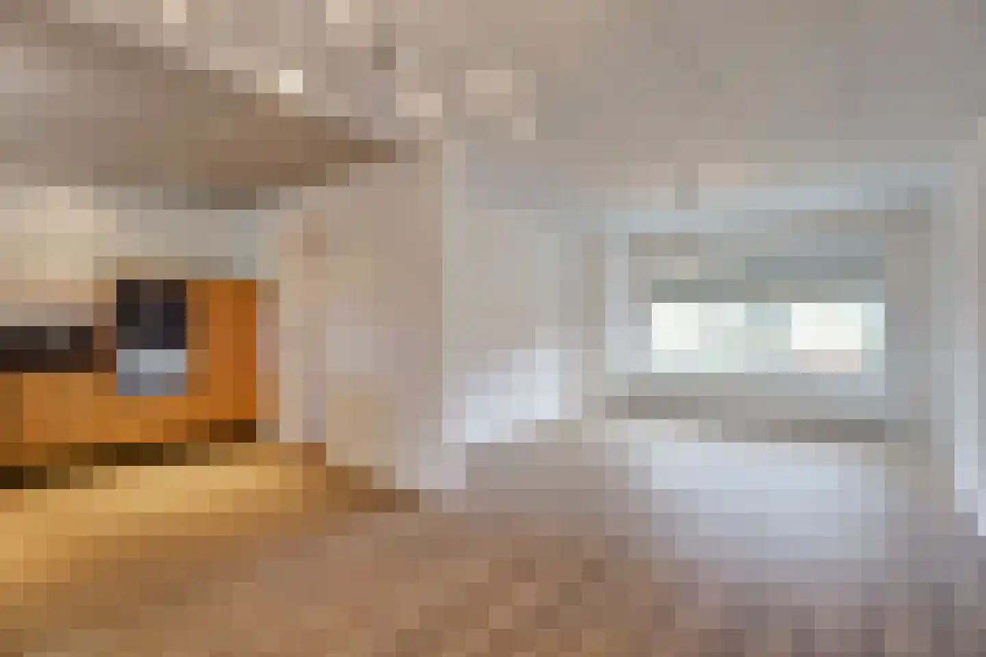 Maasstraat 61 Maasbracht thumbnail 12