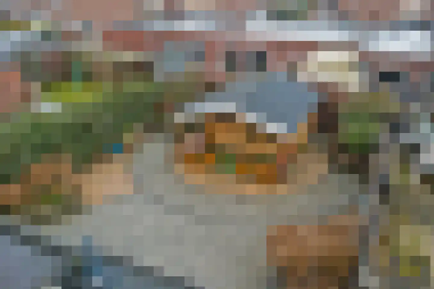 Maasstraat 61 Maasbracht thumbnail 34