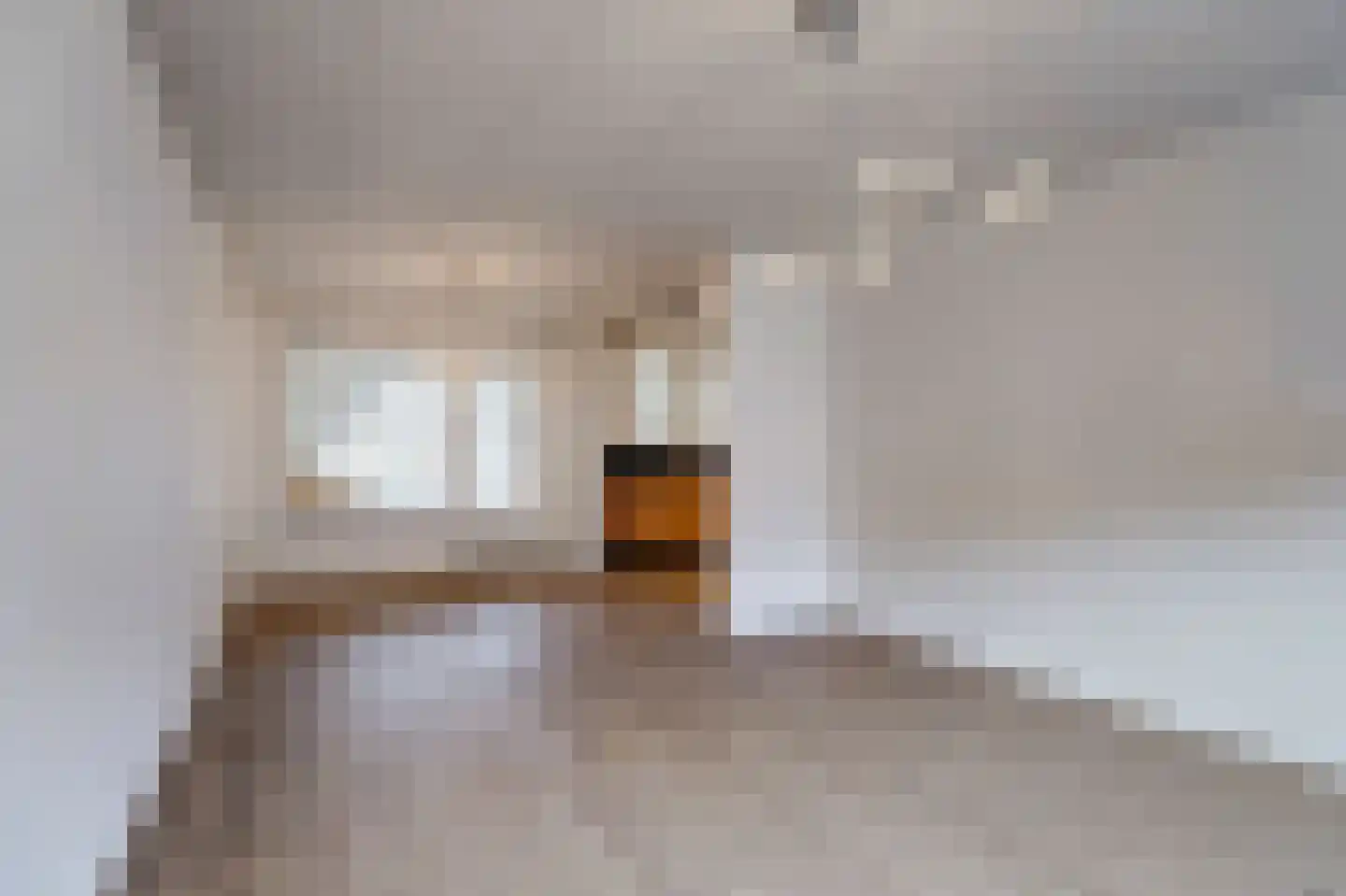 Maasstraat 61 Maasbracht thumbnail 8