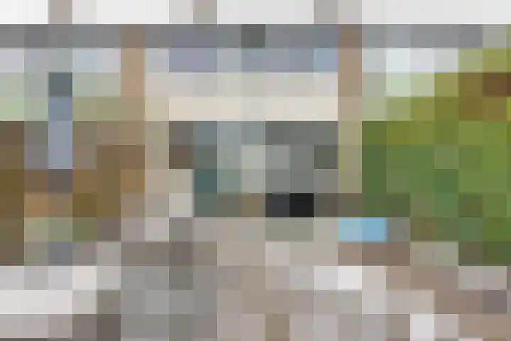 Maasstraat 62 Assen thumbnail 20
