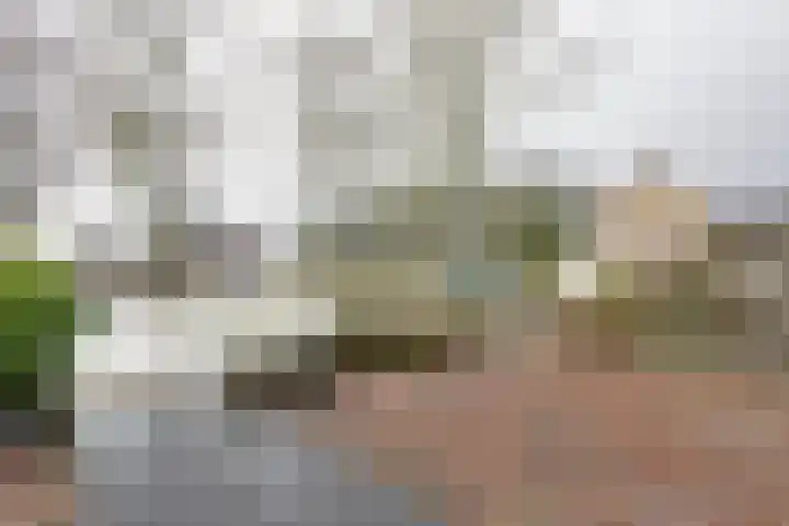 Maasstraat 62 Assen thumbnail 23